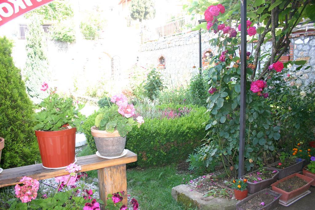 Villa Filip تربيجكا المظهر الخارجي الصورة
